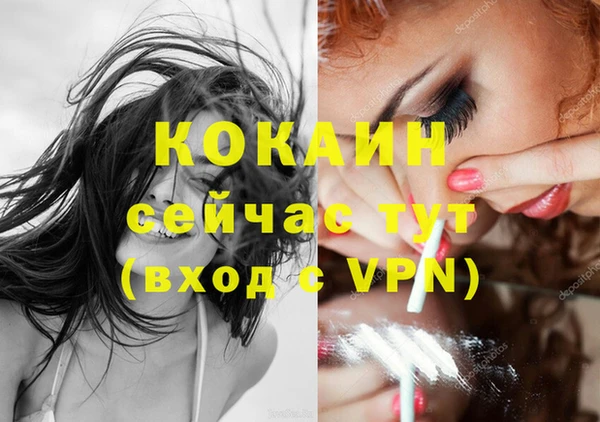 ГАЛЛЮЦИНОГЕННЫЕ ГРИБЫ Белокуриха