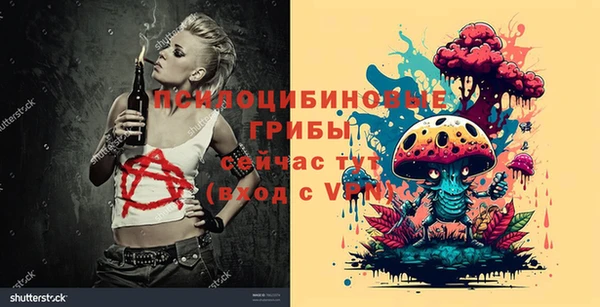 ALPHA PVP Беломорск